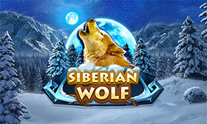 Vista previa del juego Siberian Wolf