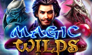 Vista previa del juego Magic Wilds
