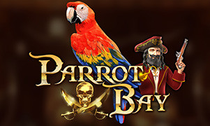 Vista previa del juego Parrot Bay